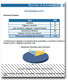 Relatório de Actividades do 1º Semestre de 2010